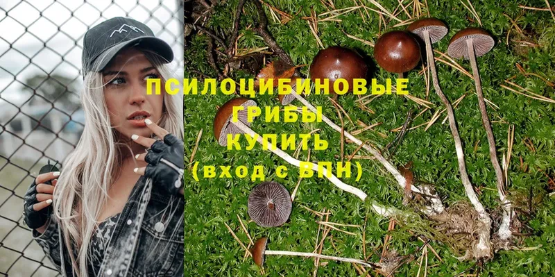 Галлюциногенные грибы Magic Shrooms  Нижнекамск 